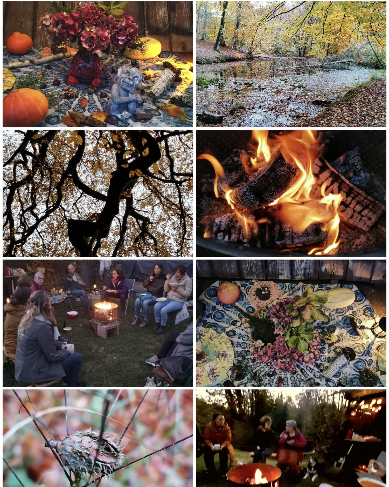 Samhain - Danken-Erinnern-Ernten - !!! Ausgebucht !!!